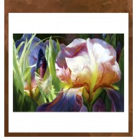 Живопись по номерам  40*50 см  GX24613"Ирисы"  Возврату и обмену не подлежит.
