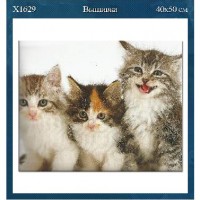Набор д/вышивки крестом 40*50 см  X1629 "Коты"