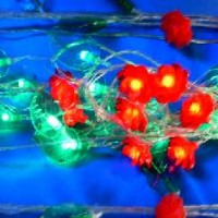 Гирлянда декоративная ЦВЕТЫ 28 светодиодных ламп(60)от сети220В Гирлянда декоративная ЦВЕТЫ 28 светодиодных ламп(60)от сети220В