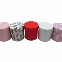 Коробка подар картон , 14*10*10cm  микс  DGHZ-1