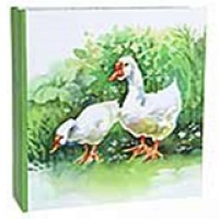 Ф/альбом 200ф 10*15 см ПП карм  134739