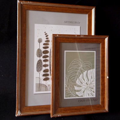 Рамка пластик А6 10*15  8107коричн.